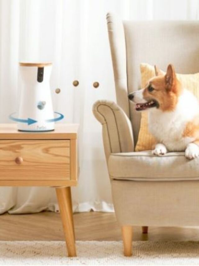 Which pet gadgets are truly worth.